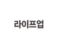 라이프 업